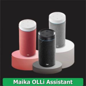 Trợ Lí Ảo Maika