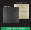 cong-tac-co-smech - ảnh nhỏ  1